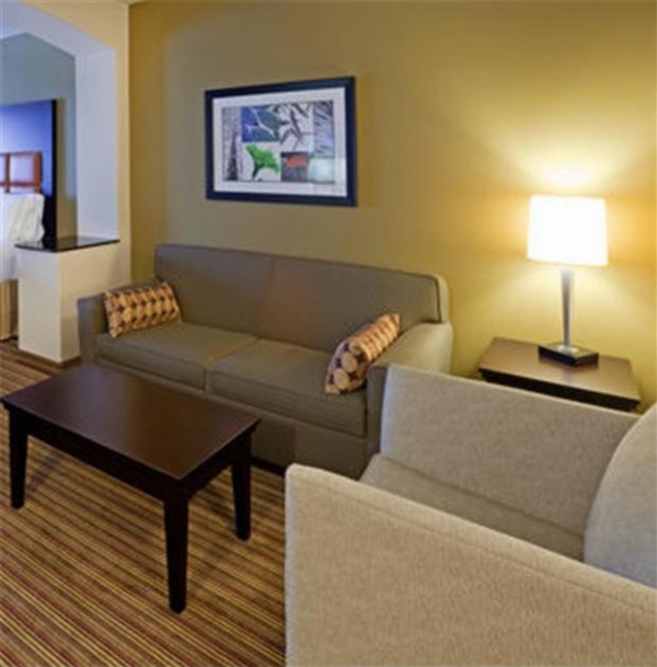 Holiday Inn Express Hotel & Suites Dallas West Main image