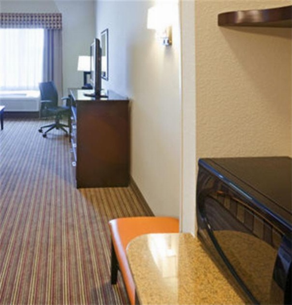 Holiday Inn Express Hotel & Suites Dallas West image 6